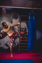Mixed martial arts fighter hitting 