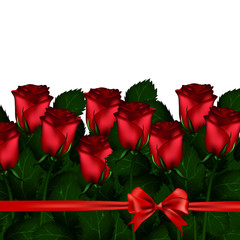 The bouquet of red roses tied with satin ribbon with a bow on a white background