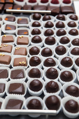 showcase with chocolate