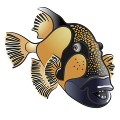 Titan triggerfish, Balistoides viridescens