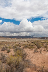 Utah Landscape