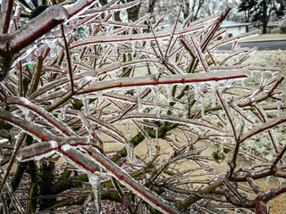 Ice storm