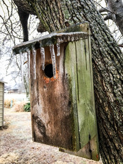 Ice storm