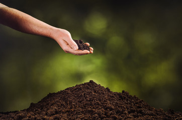 Hand pouring black soil on green bokeh background. Planting a small plant on a pile of soil or...