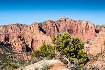 Zion National Park, Kolob Canyon, UT
