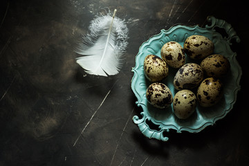 Quail eggs on blue vintage plate,white feather,on black scratched concrete background,Easter concept, minimalistic,moody