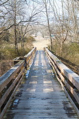 Bridge