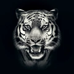 Tuinposter Tijger tijgergezicht op zwarte achtergrond