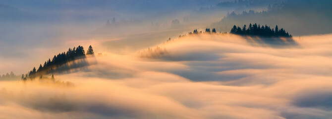 Pieniny misty sunrise