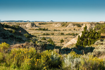 Theodore Roosevelt Nat'l Park, ND
