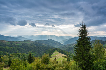 Fototapeta na wymiar Mountain landscape at sunset. Carpathian Mountains, Mizhhiria, U