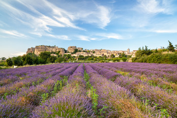 Saignon village, Provence, France - 134067234