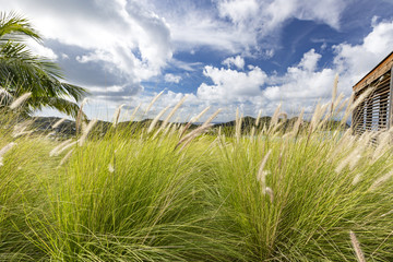 St Barth, French West Indies
