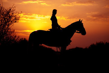 Silhouette of a rider and horse on a background of sunrise or sunset. Girl riding a stallion.