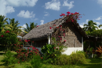 Fototapeta na wymiar Petite maison tropicale fleurie