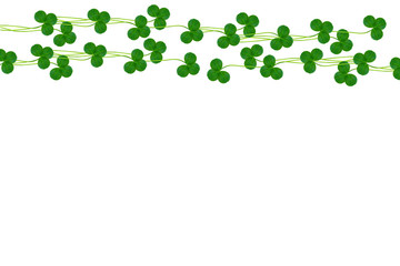 green clover leaves isolated on white background. St.Patrick 's
