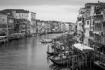 Fototapeta premium 300 years old venetian palace facades from Canal Grande