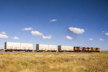 Fototapeta na wymiar Shipping Containers on the Move by Train