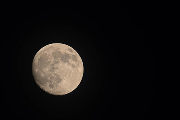 Fototapeta premium Supermoon as seen from the Adirondacks