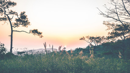 garden park outdoor Evening sunset on the mountains. phurue thai