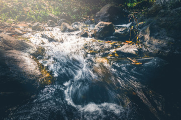 Waterfall stream. Water streams of natural forests