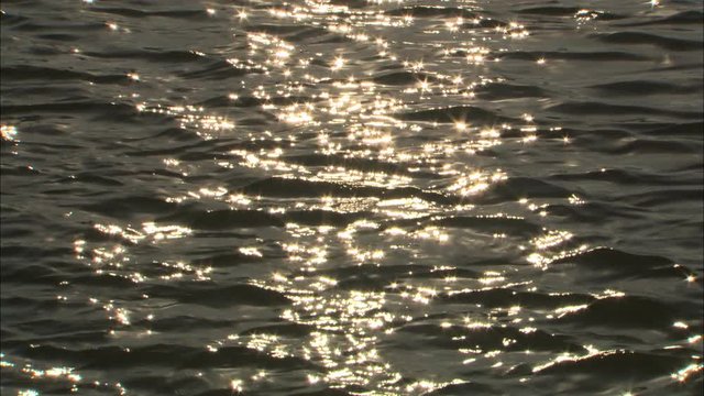 sparkles on water ws