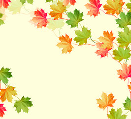 Naklejka na ściany i meble foliage isolated on white background. Golden autumn