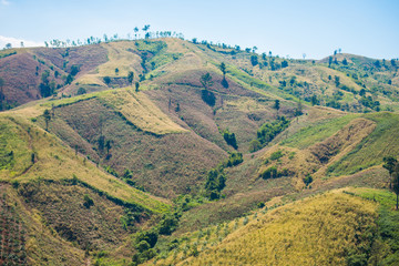 Fototapeta premium beautiful landscape with mountains.