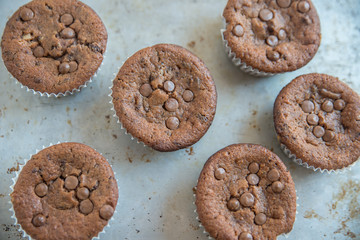  Schokoladenmuffins 