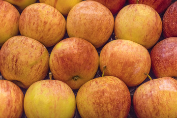Rows of red and yellow apples on sale