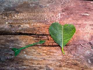Green leaf in heart and arrow shape on wooden background