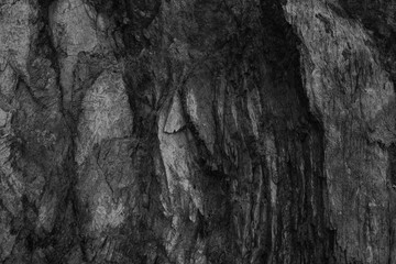 Mineral stone  grand canyon black and white