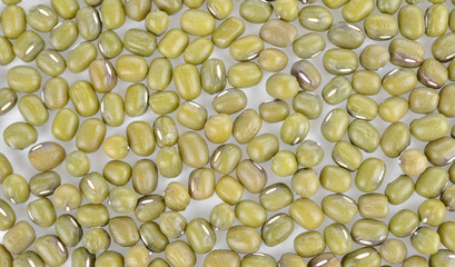 Green bean or mung bean background