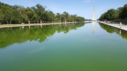 Fototapeta premium the mall