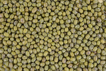 Green bean or mung bean background