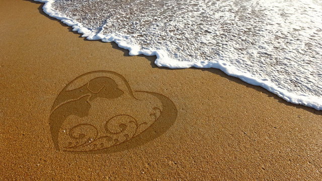 Dog Cat Lover Sand Illustration in Beach