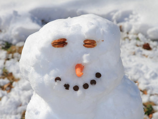 A Happy Snowman