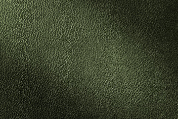Fototapeta premium Deep green leather texture, leather background for fashion, furniture or interior concept design.