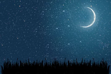 Papier Peint photo Nuit fond de ciel nocturne avec des étoiles et la lune