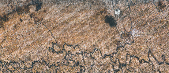 Texture background old wood. Natural wood color
