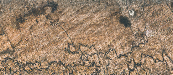 Texture background old wood. Natural wood color