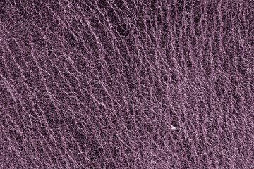 Purple leather texture, leather background for fashion, furniture or interior concept design.
