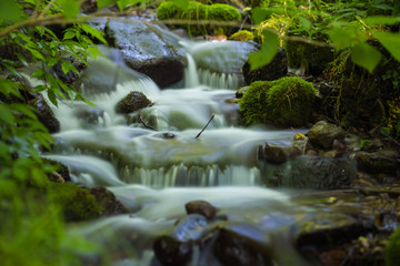 Obraz premium river