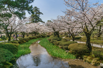 japanese landscape - kenrokuen - kanazawa - ishikawa