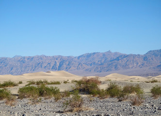 desert and mountain