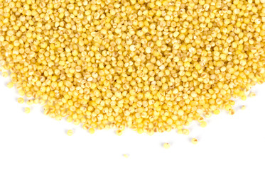 Yellow millet seeds on the white background