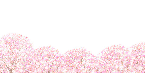 Fototapeta premium 桜 春 花 背景