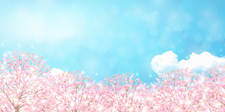 桜　春　花　背景