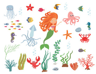 Fototapeta premium Underwater life collection