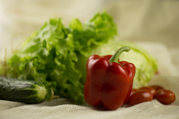 Tomato, bell pepper, cucumber ,lettuce